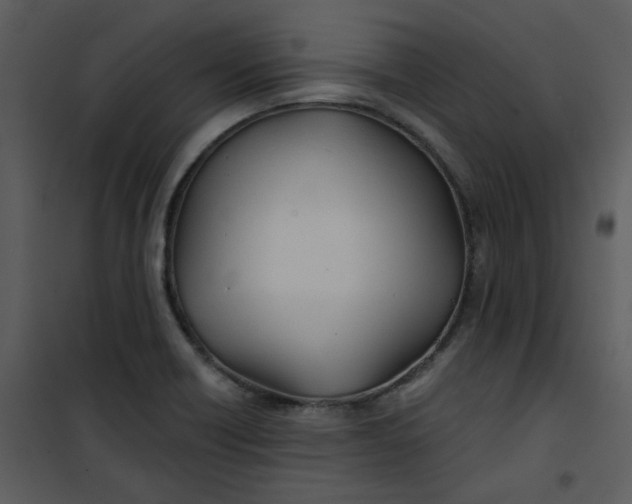 X0000101161418200807181348