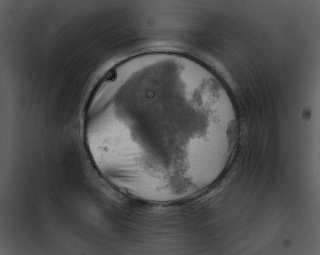 X0000101161419200807181348