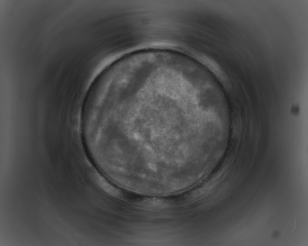 X0000101161420200807181348