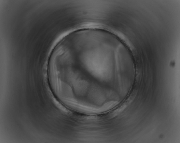 X0000101161421200807181348