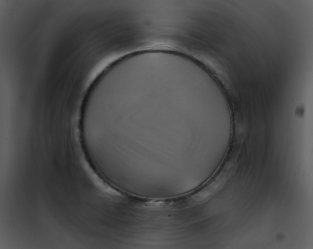 X0000101161422200807181348