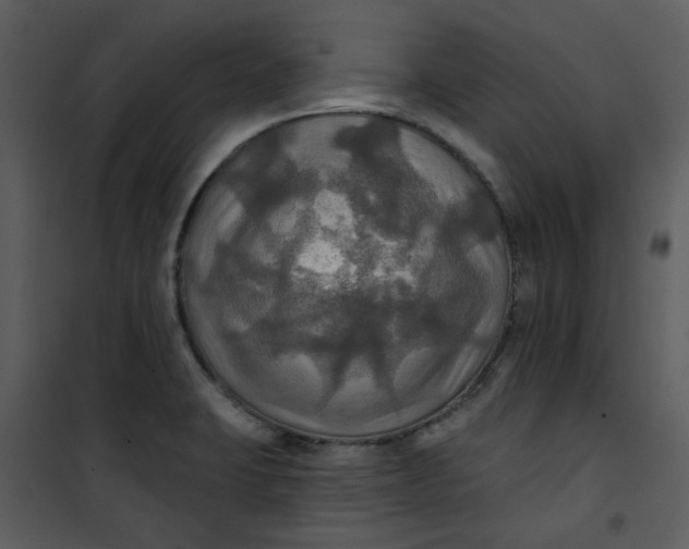 X0000101161423200807181348