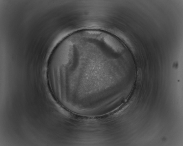 X0000101161424200807181348