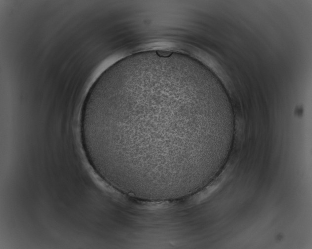 X0000101161426200807181348