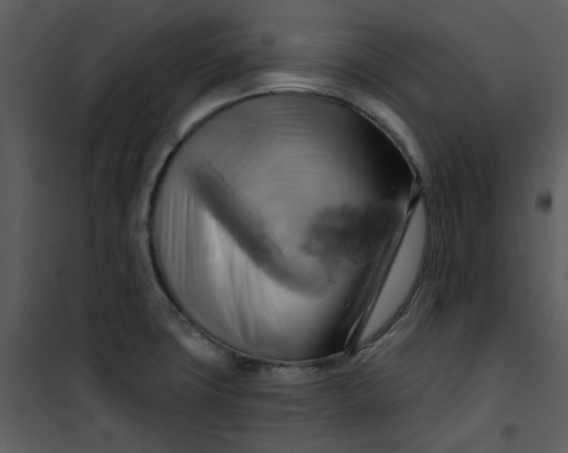 X0000101161427200807181348