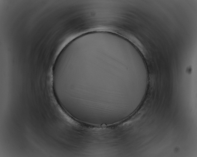 X0000101161428200807181348