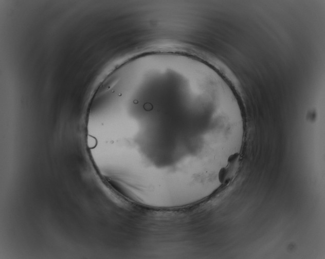 X0000101161429200807181348