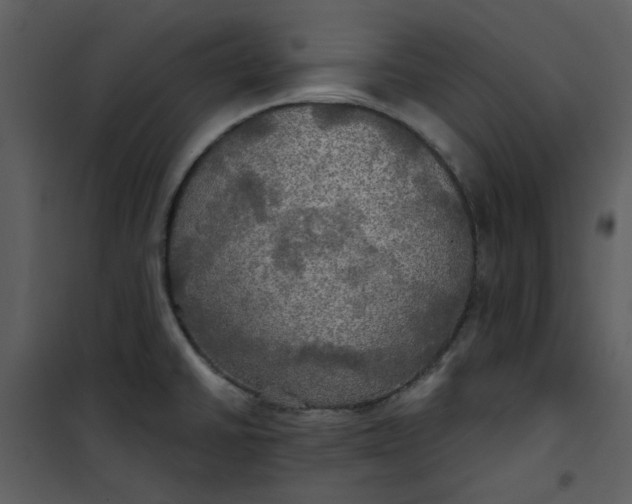 X0000101161430200807181348