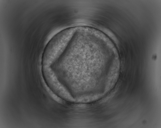 X0000101161431200807181348