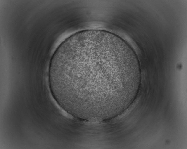 X0000101161432200807181348