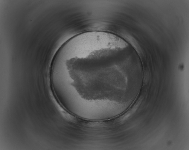 X0000101161434200807181348