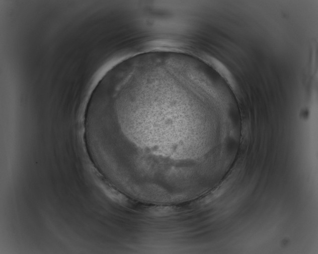 X0000101161435200807181348