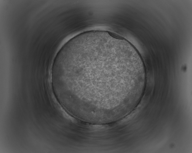 X0000101161436200807181348