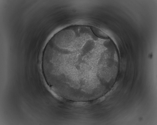 X0000101161437200807181348