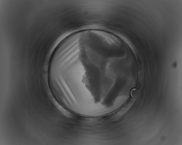 X0000101161438200807181348