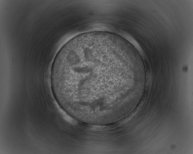 X0000101161439200807181348