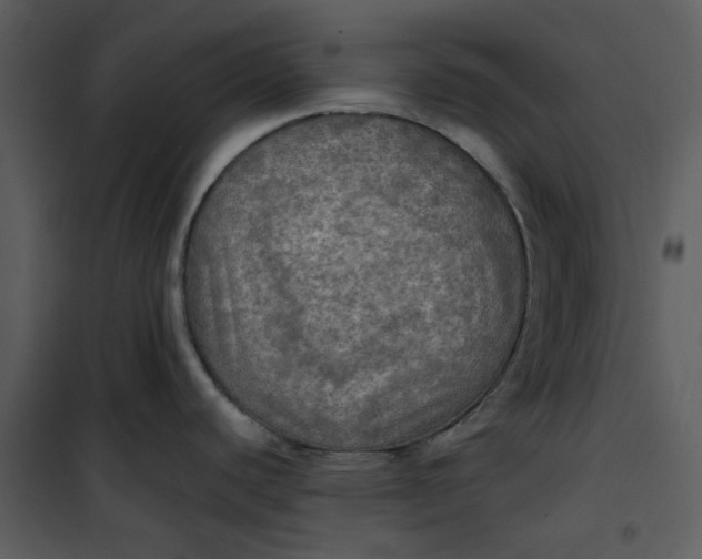 X0000101161440200807181348