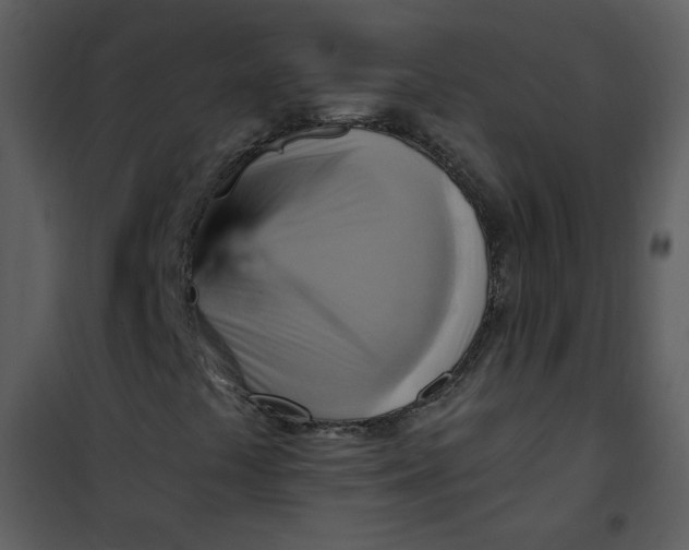 X0000101161441200807181347