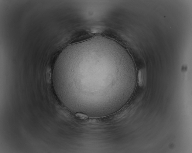 X0000101161443200807181347