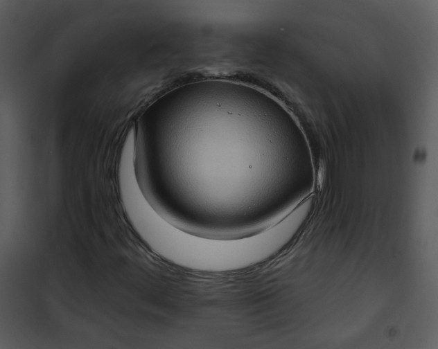 X0000101161444200807181347