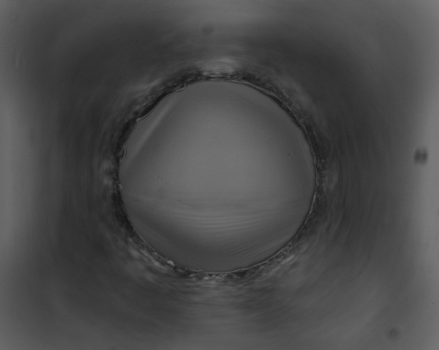 X0000101161445200807181347