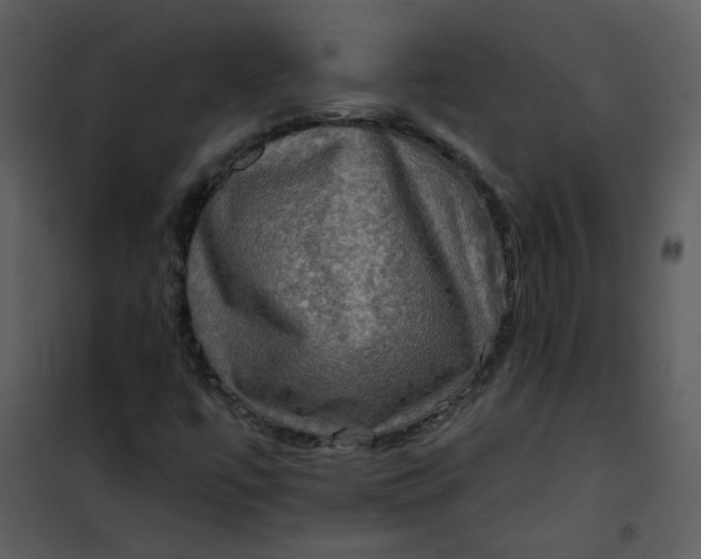 X0000101161447200807181347