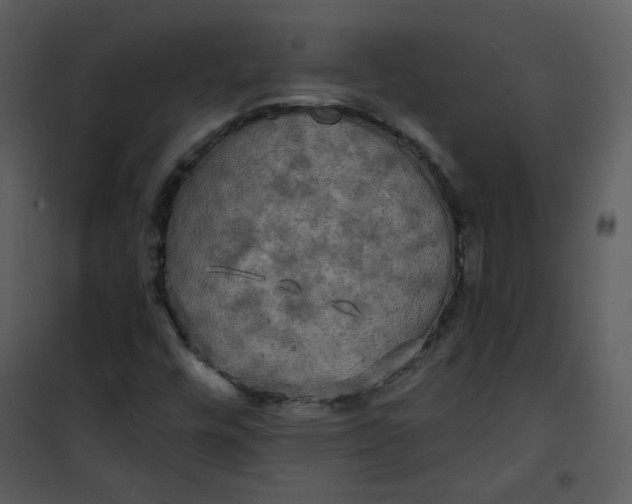 X0000101161448200807181347