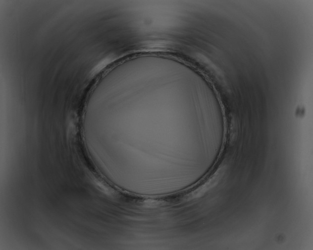 X0000101161449200807181347