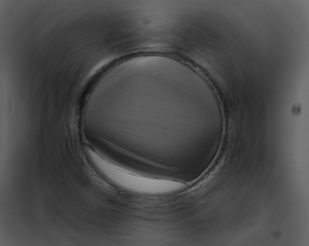 X0000101161450200807181347