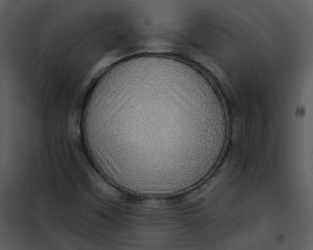 X0000101161451200807181347