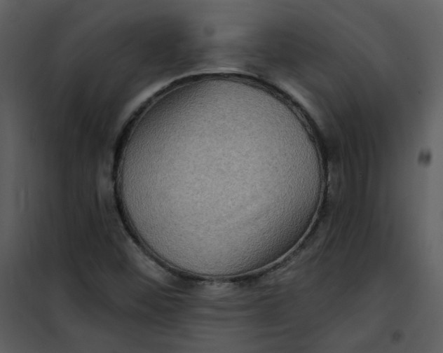 X0000101161452200807181347