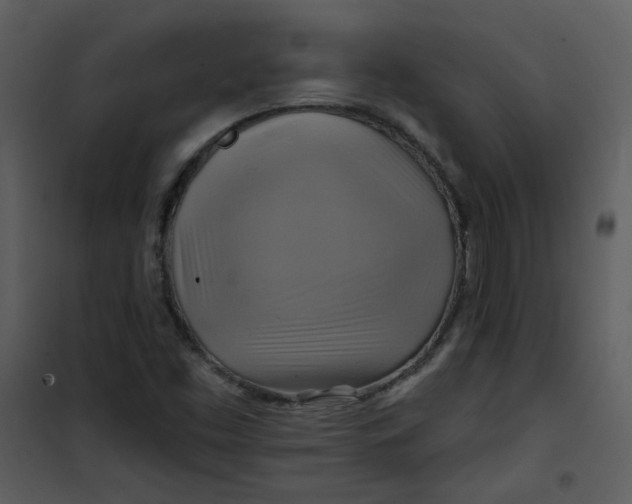 X0000101161453200807181347