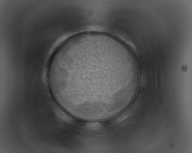 X0000101161454200807181347