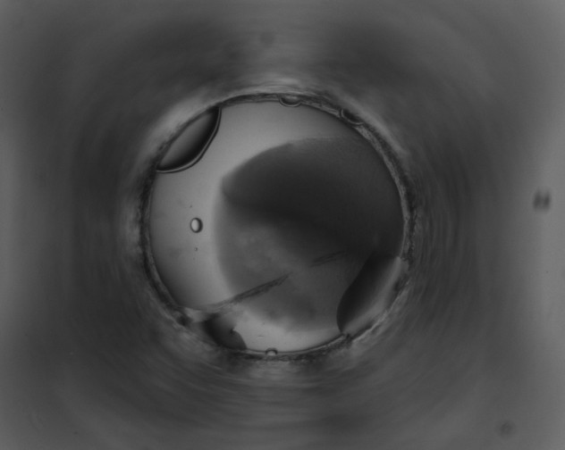 X0000101161455200807181347