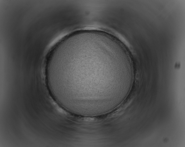 X0000101161456200807181347