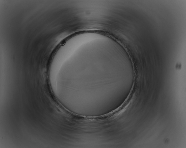 X0000101161457200807181347