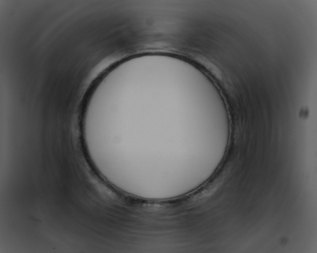 X0000101161458200807181347