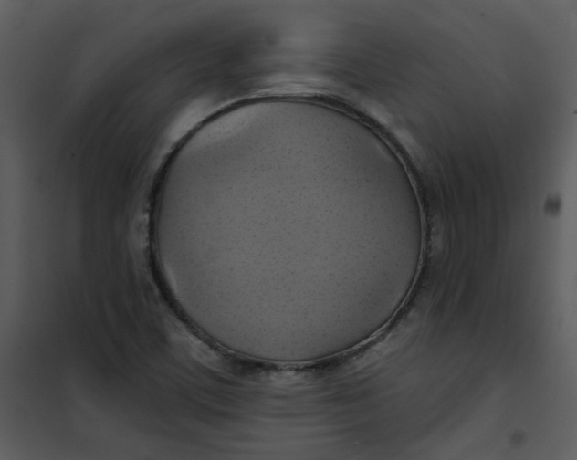 X0000101161459200807181347