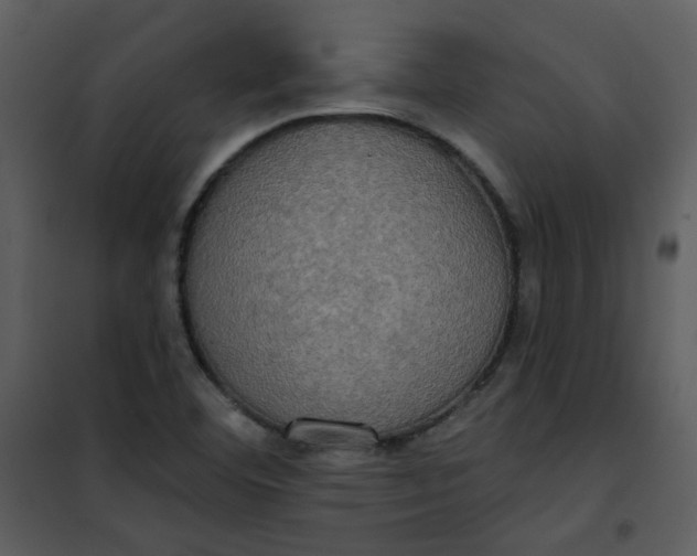 X0000101161460200807181347