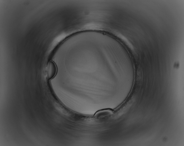 X0000101161461200807181347