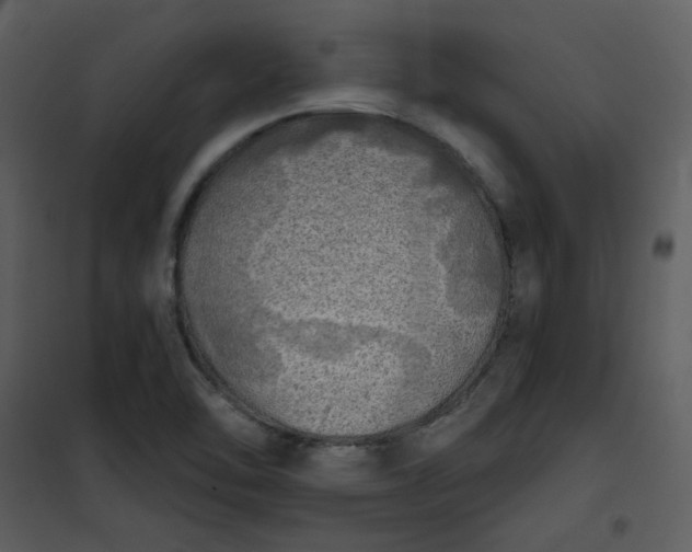 X0000101161462200807181347