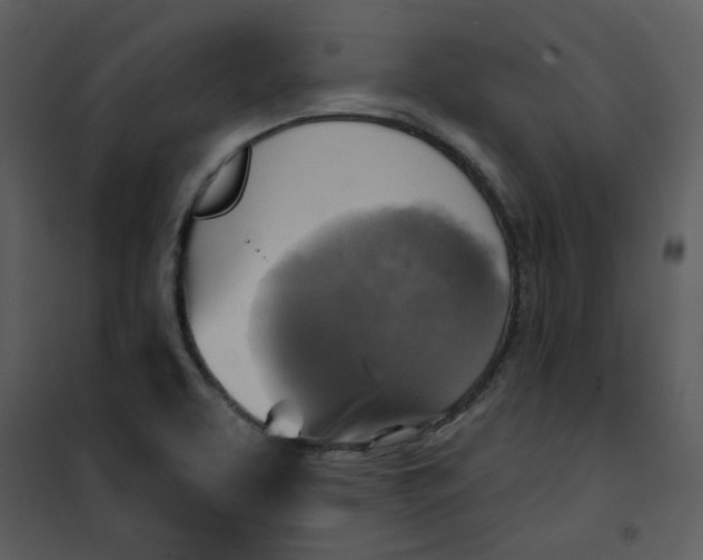 X0000101161463200807181347