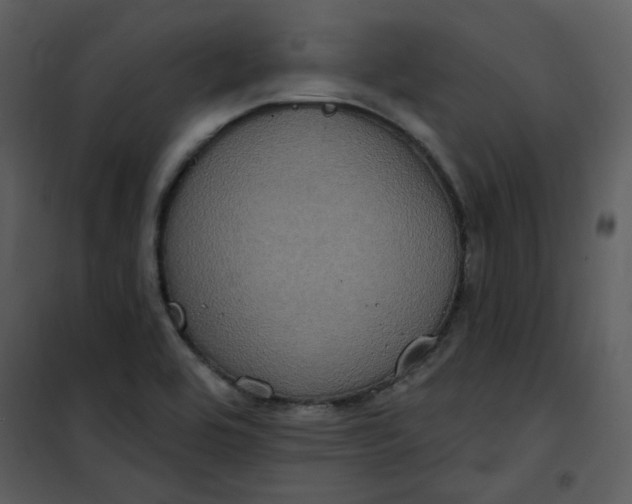 X0000101161464200807181347