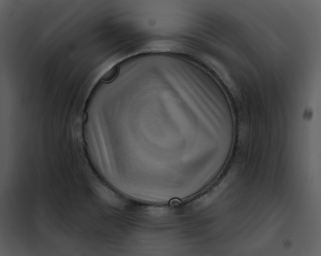 X0000101161465200807181347