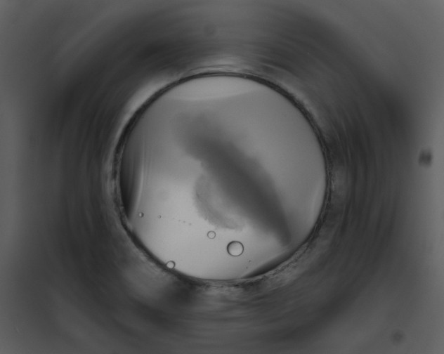 X0000101161466200807181347