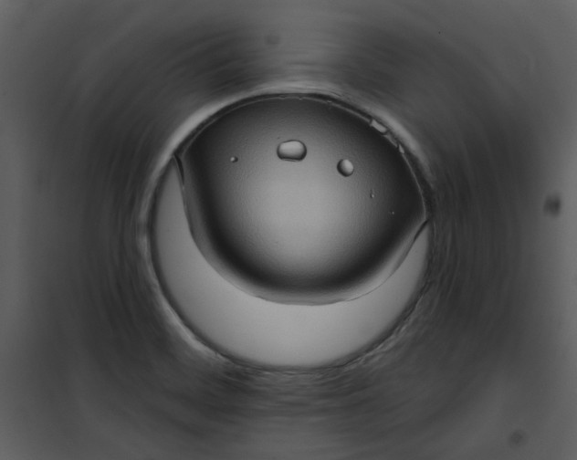 X0000101161468200807181347