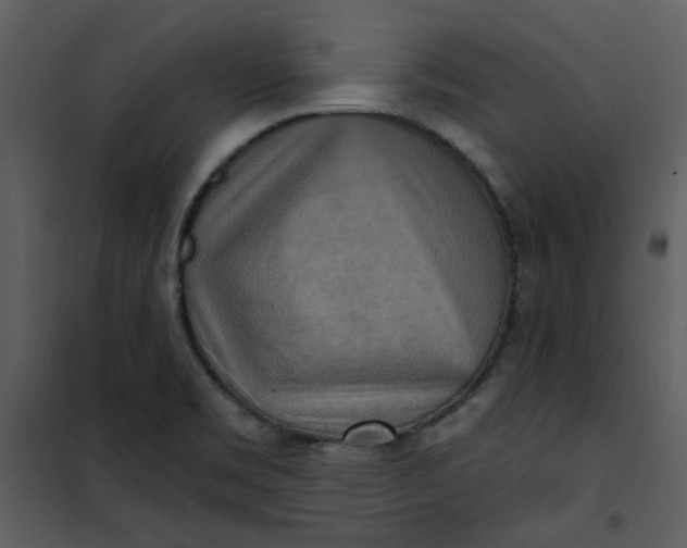 X0000101161469200807181347