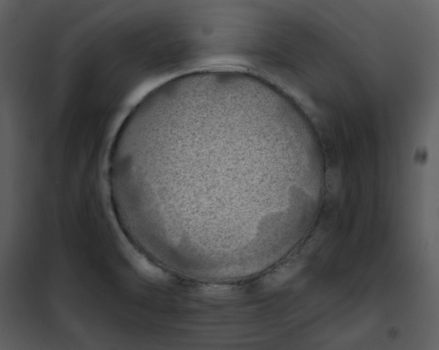 X0000101161470200807181347