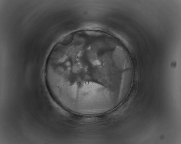 X0000101161471200807181347