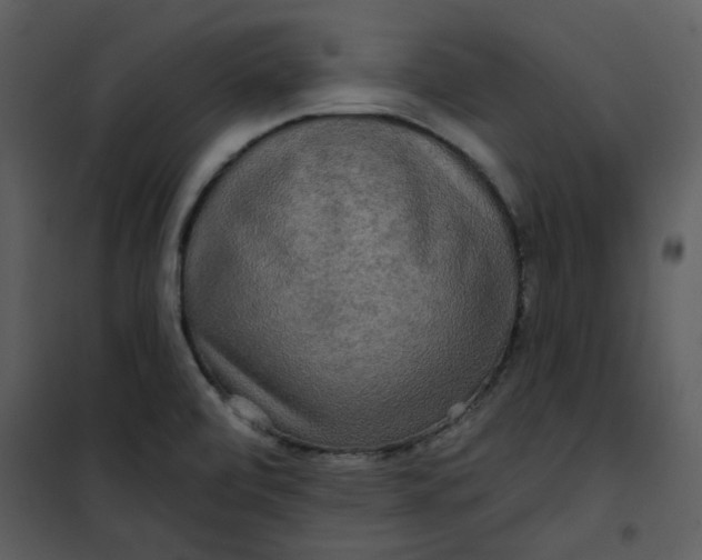 X0000101161472200807181347